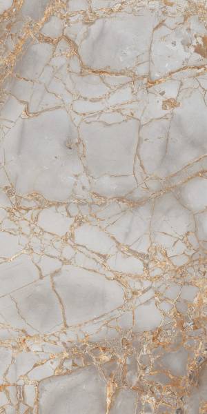 Керамогранит Primavera Golden Grey 60x120 см (PR212)