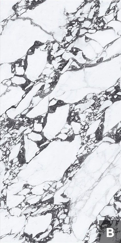 Керамогранит NTT3013P (C) Tantai Jin Demon 120x240