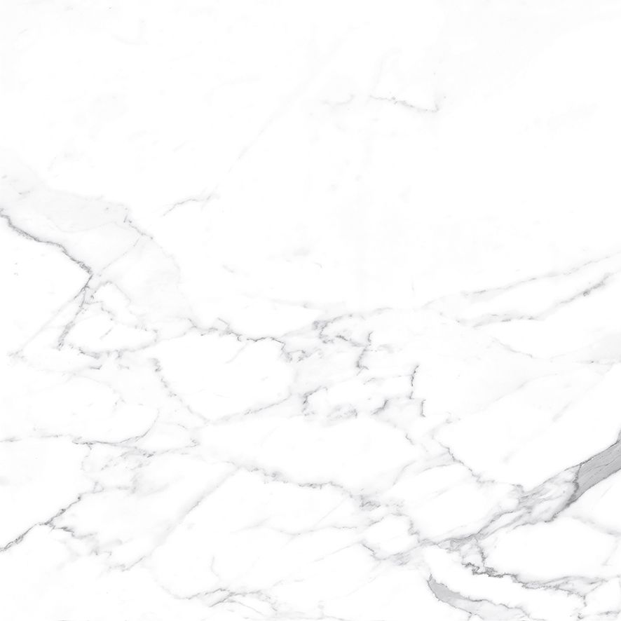 Carrara Terrific Silver Керамогранит белый 60х60 Матовый