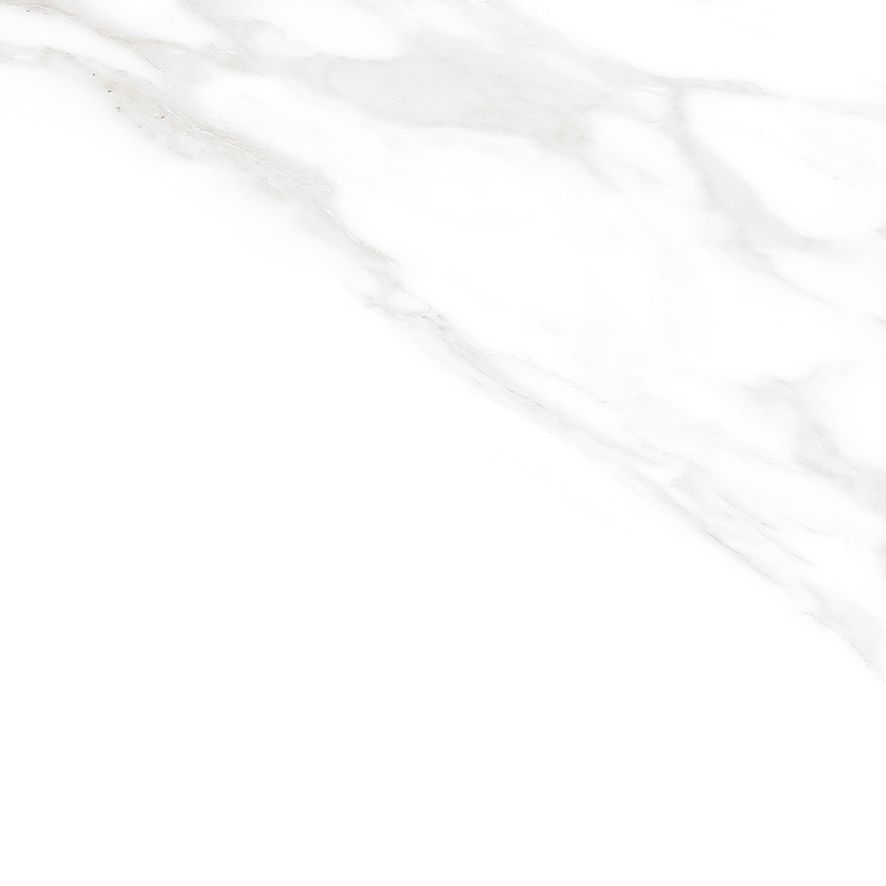 Carrara Excellent Silver Керамогранит белый 60х60 Матовый