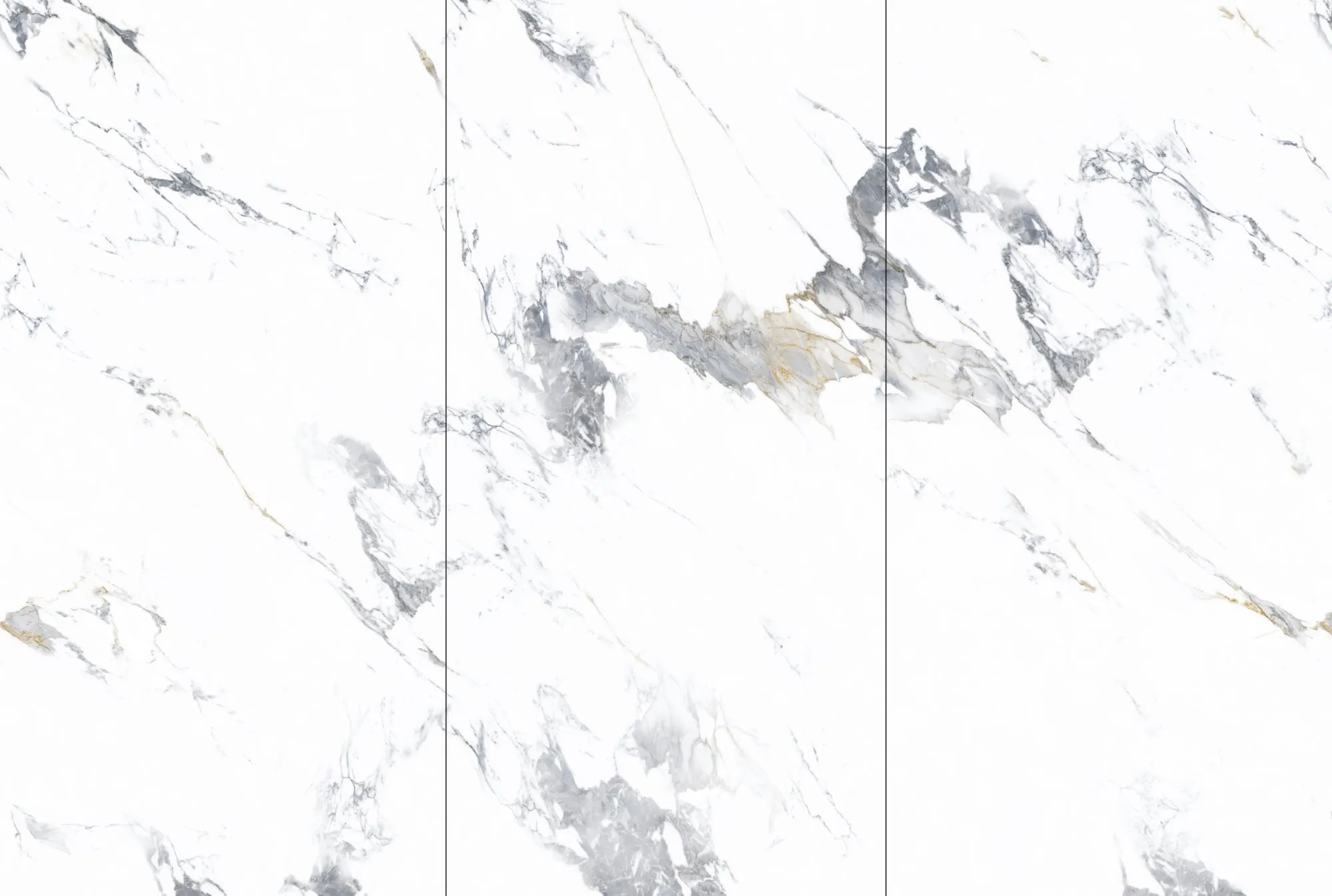 Керамогранит NTT3003P Arabescato 120x240