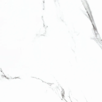 Керамогранит BB6NTT9100P Bright And Shiny 60x60