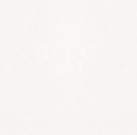 Monocolor sugar white PG 01 керамогранит
