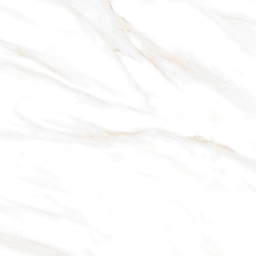 Calacatta Clarity Gold Керамогранит белый 60х60 Матовый