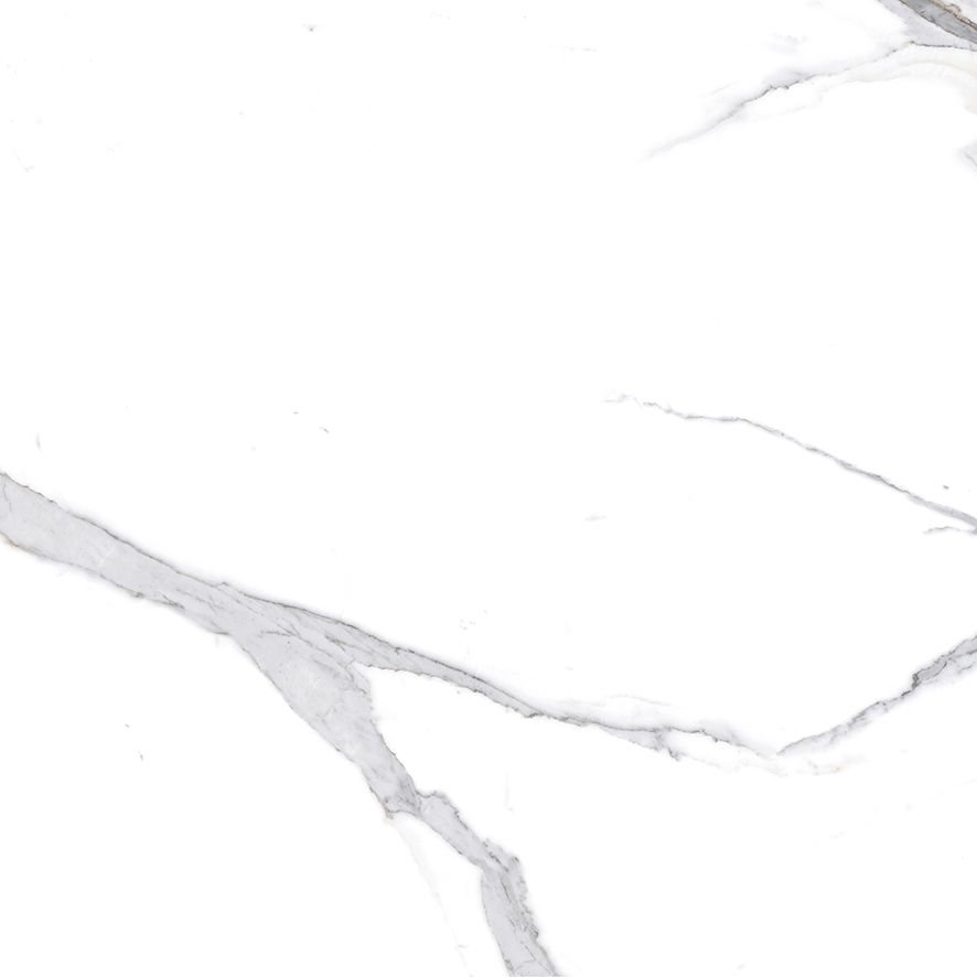 Calacatta Splendid Silver Керамогранит белый 60х60 Матовый