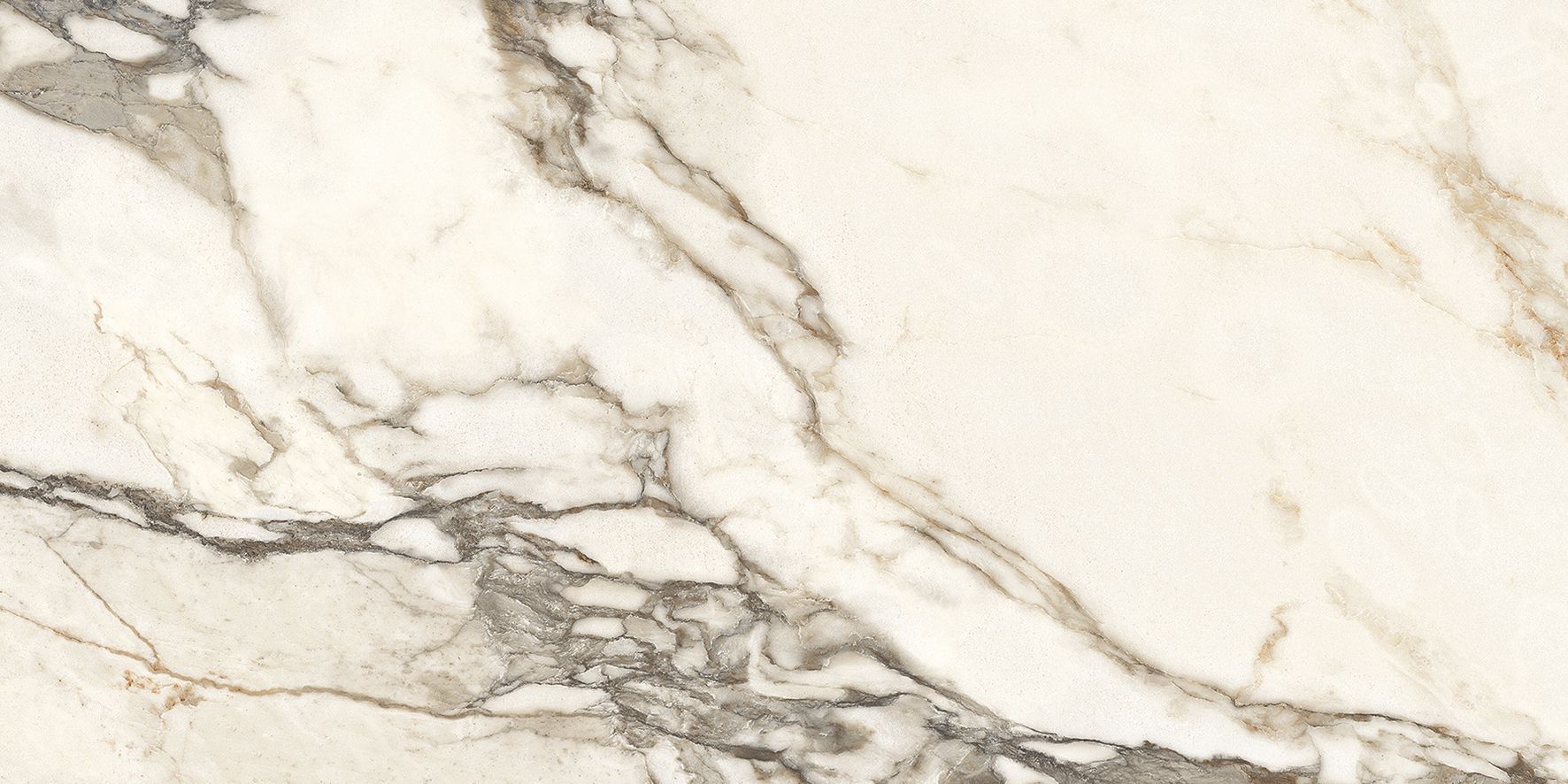 Calacatta Bronze Керамогранит белый полированный 60х120 под мрамор