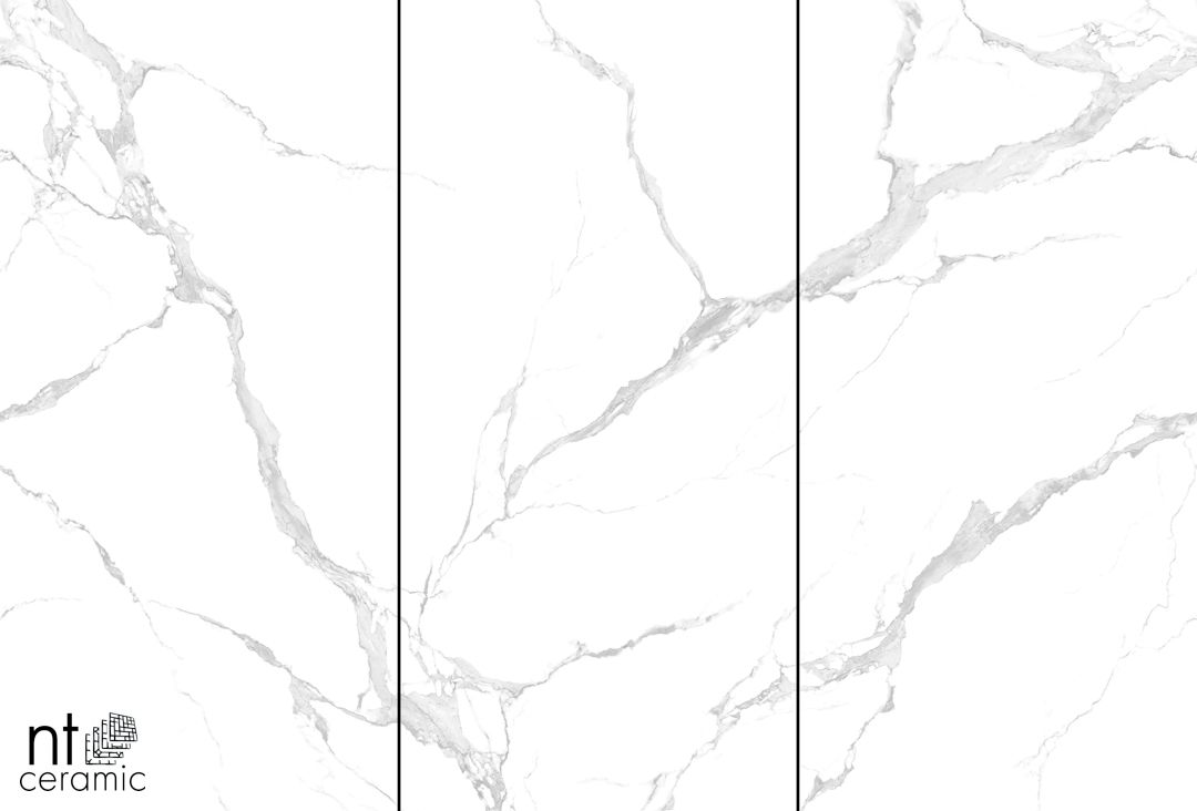 Керамогранит NTT3004P Bianco Carrara 120x240