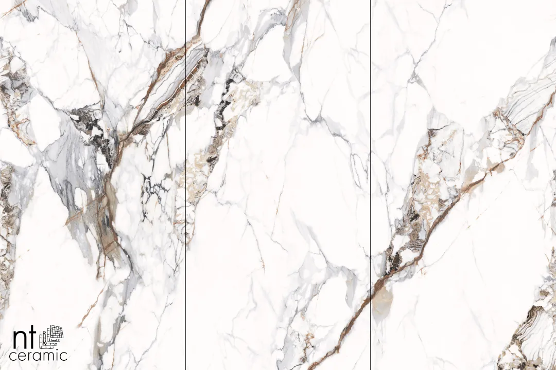 Керамогранит NTT3005P Breccia Capria 120x240