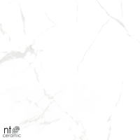 Керамогранит NTT996070M Callacata Carving 60x60