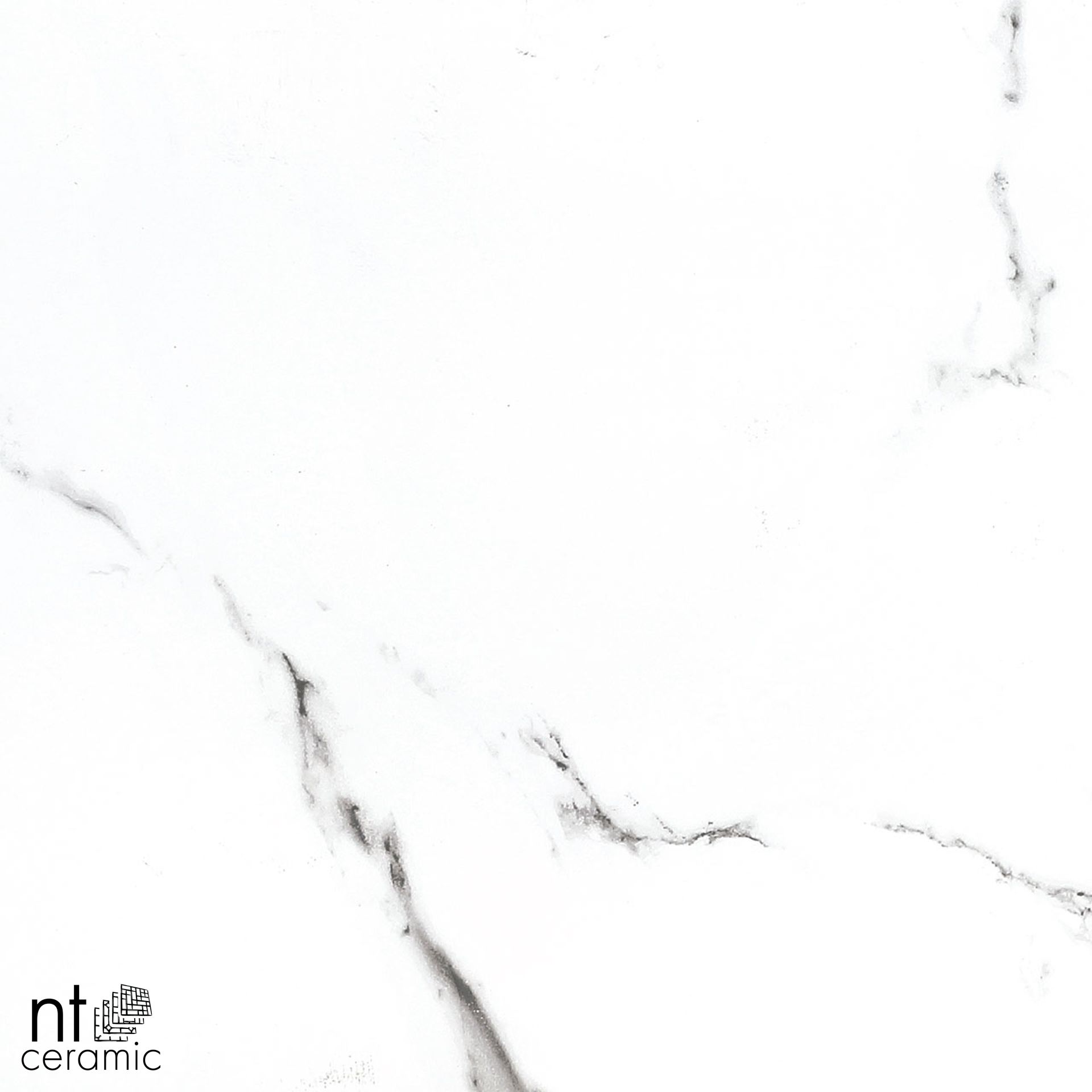 Керамогранит BB612NTT9100P Bright And Shiny 60x120