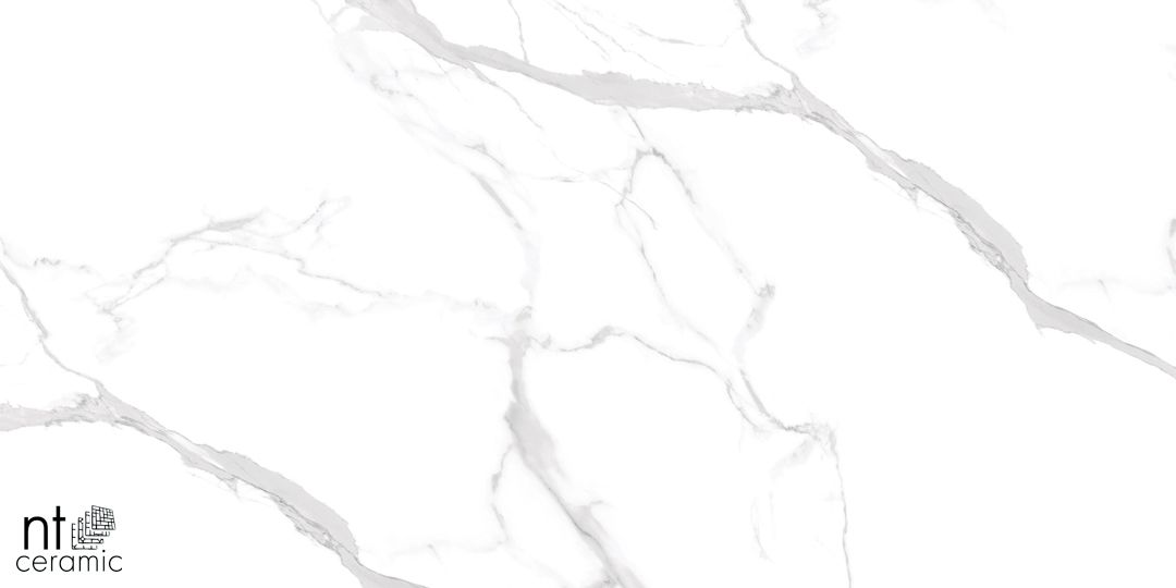 Керамогранит NTT99512M Statuario Ultra White 60x120