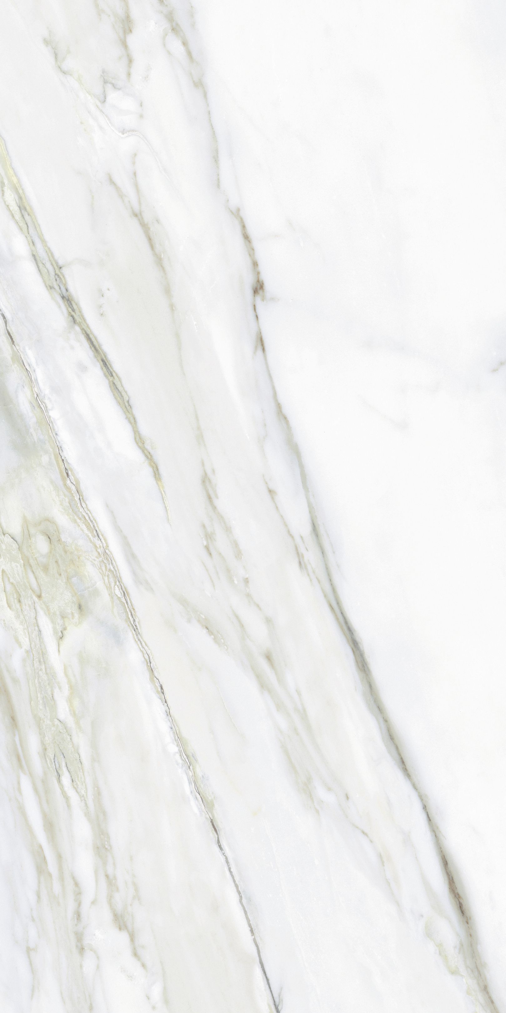 Керамогранит NTT9405DDG Lavarsaz Sitri 60x120