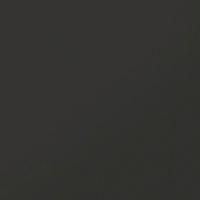 Monocolor CF 013 черный MR 60x60 керамогранит