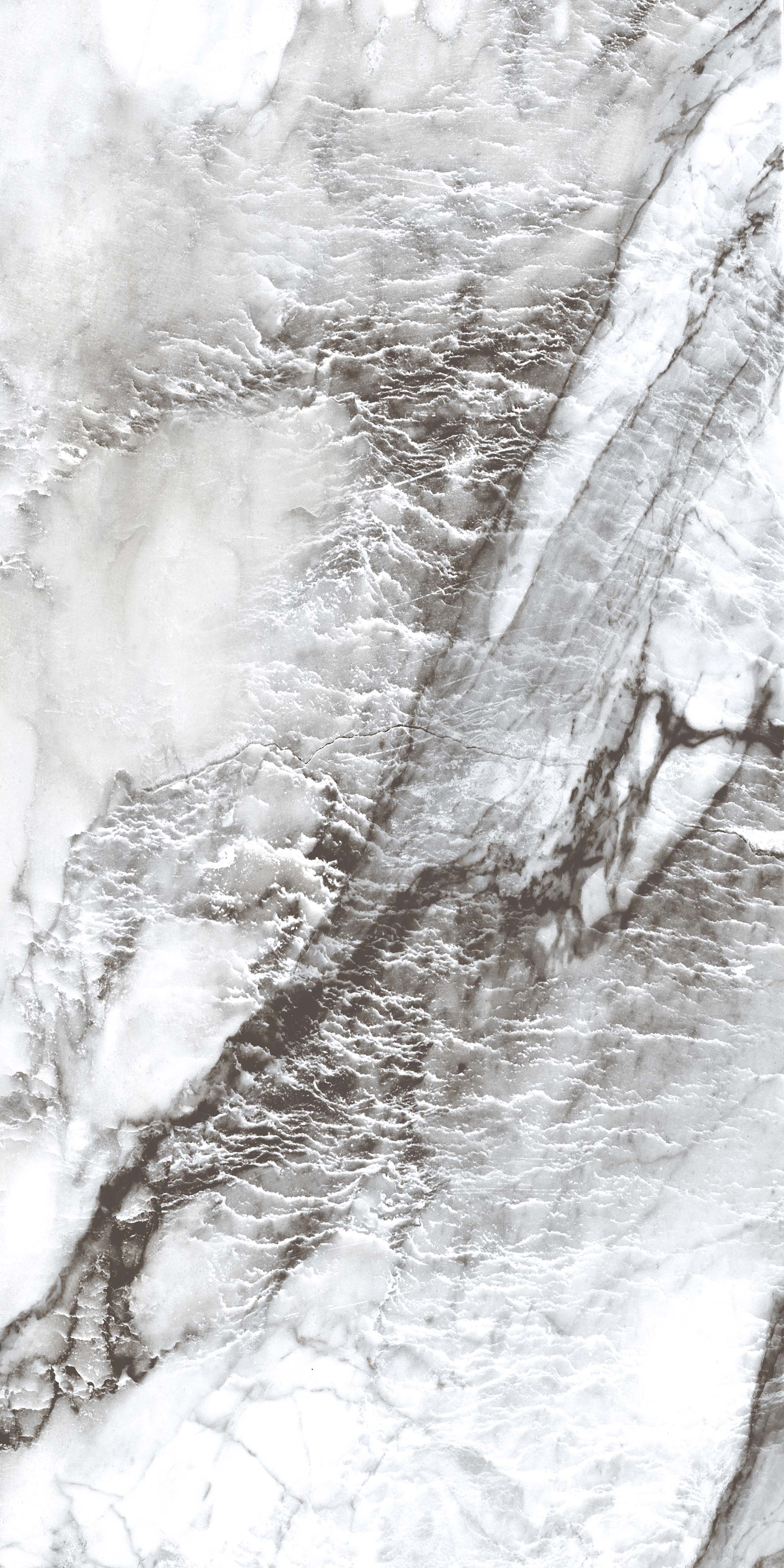 PR221 Керамогранит Acacia 60*120см polished 1,44м2