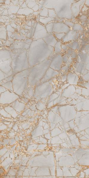 Керамогранит Primavera Golden Grey 60x120 см (PR212)