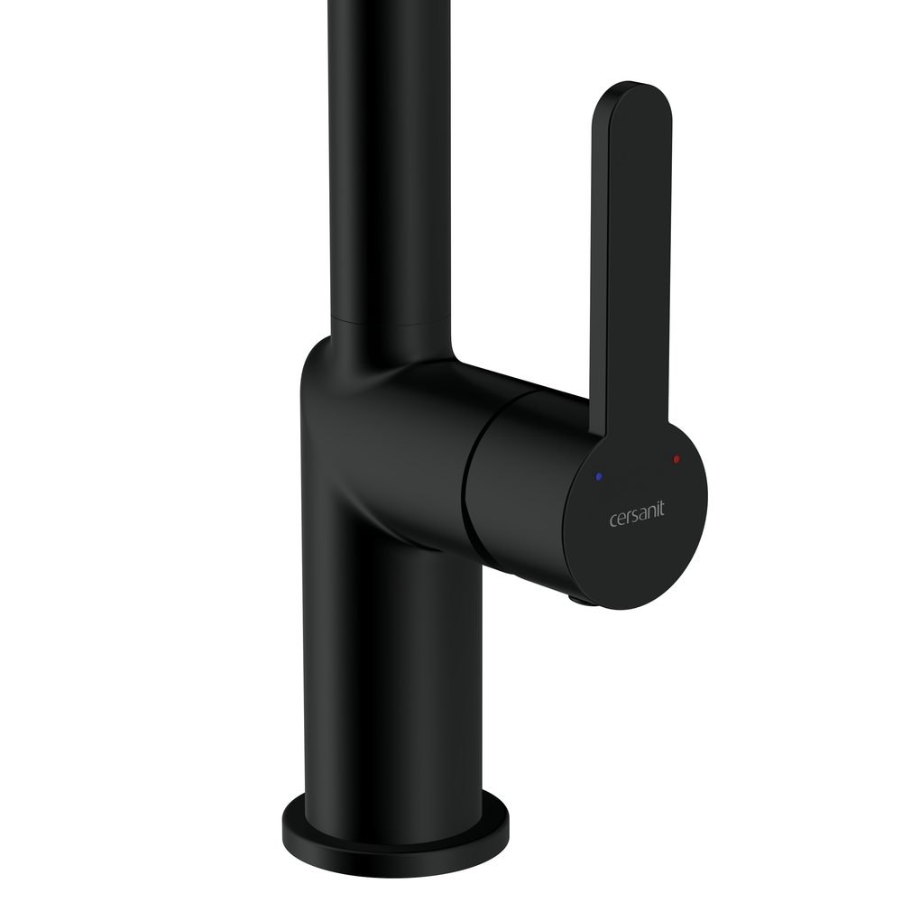 Смеситель для кухни OLIVA черный