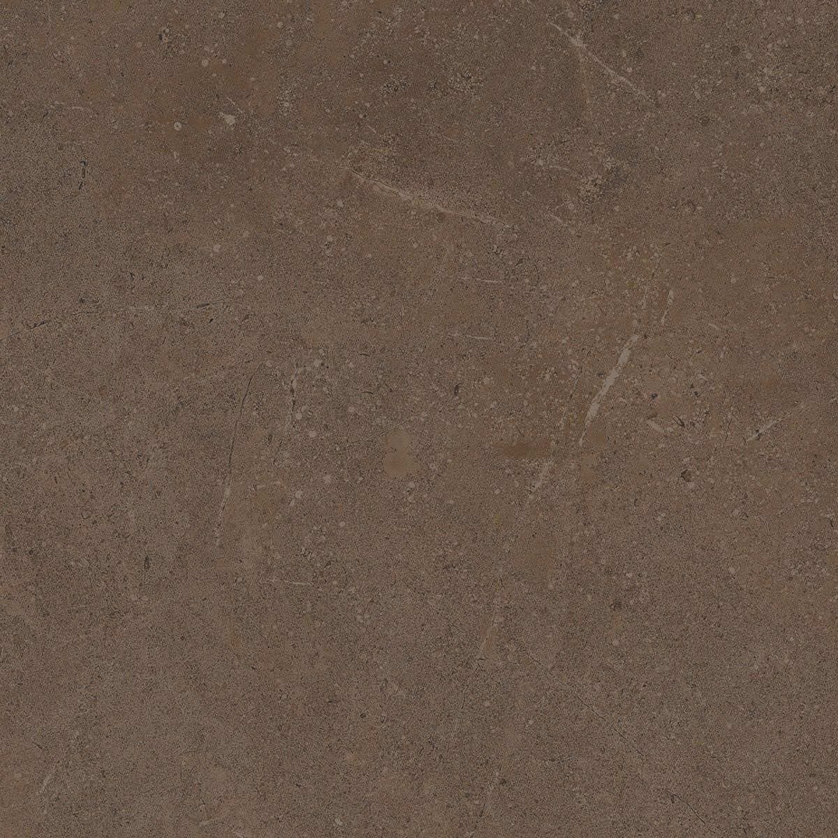 Керамогранит Gobi GO 03 60x60x1 неполированный Коричневый (Estima)