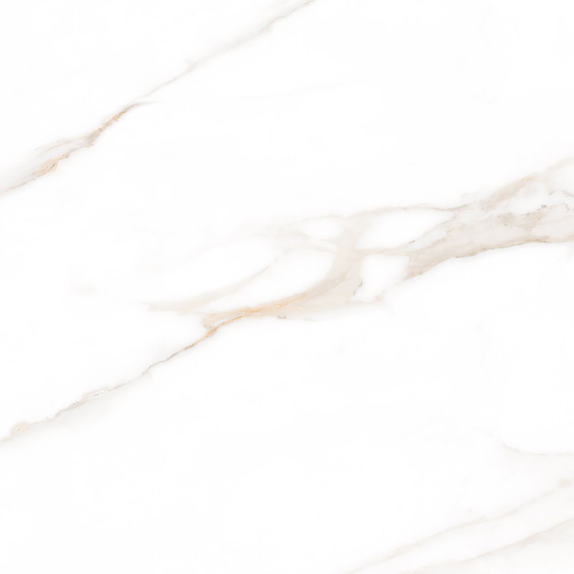 Calacatta Regal Gold Керамогранит белый 80х80 Матовый