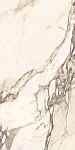 Calacatta Bronze Керамогранит белый полированный 60х120-8