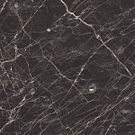 Black Arkadia Керамогранит черный полированный 60х60-8