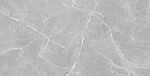 Керамогранит Patricia Grey Matt 60x120