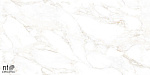 Керамогранит NTT99526M Marble Extra Endless 60x120-8