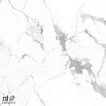 Керамогранит NTT99516M Callacata Endless Mat 60x120-13