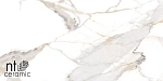 Керамогранит NTT9120M Calacatta Light Grey Mat 60x120