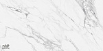 Керамогранит NTT99528P Artic statuario Glossy 60x120-8