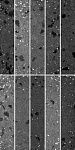 Плитка настенная Морена 2 30х60 Керамин-3