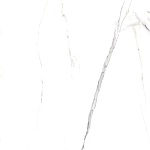 Viva Керамогранит белый SG169700N 40,2х40,2-4