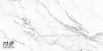 Керамогранит NTT9125M Statuario Infinity 60x120