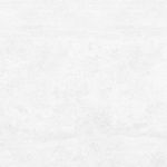 Flagman Керамогранит светло-серый K952736R0001LPET 60x60-4