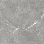 Stone Cool Grey Керамогранит серый 60х60 Матовый-7