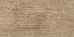 6260-0211 Керамогранит Nostrum_GT Бежевый 30x60 _ 1\46,08-4