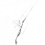 SR104 Керамогранит Videl Bianco 60*60см sugar 1,44м2-13