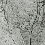 Керамогранит Meissen Keramik Essential полированный серый ректификат 79,8x79,8 A16464-5