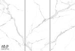 Керамогранит NTT3004P Bianco Carrara 120x240-6