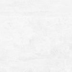 Flagman Керамогранит светло-серый K952736R0001LPET 60x60-8