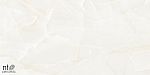 Керамогранит NTT99504P Onyx Predo 60x120-8