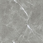 Stone Cool Grey Керамогранит серый 60х60 Полированный-5