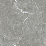 Stone Cool Grey Керамогранит серый 60х60 Полированный-8
