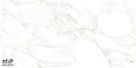 Керамогранит NTT99526M Marble Extra Endless 60x120-12